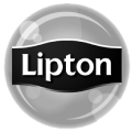 lipton products